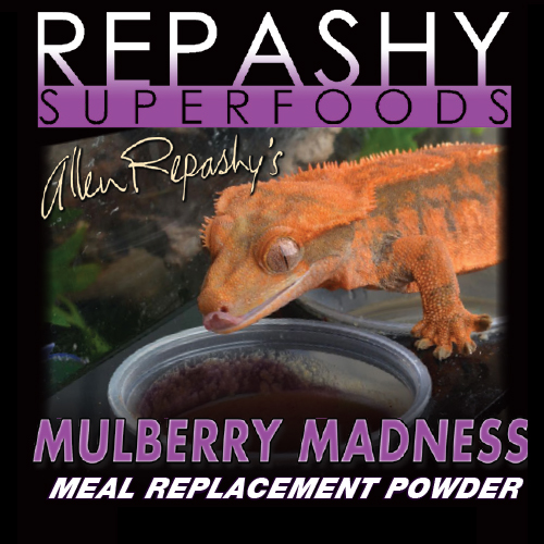 Mulberry Madness
