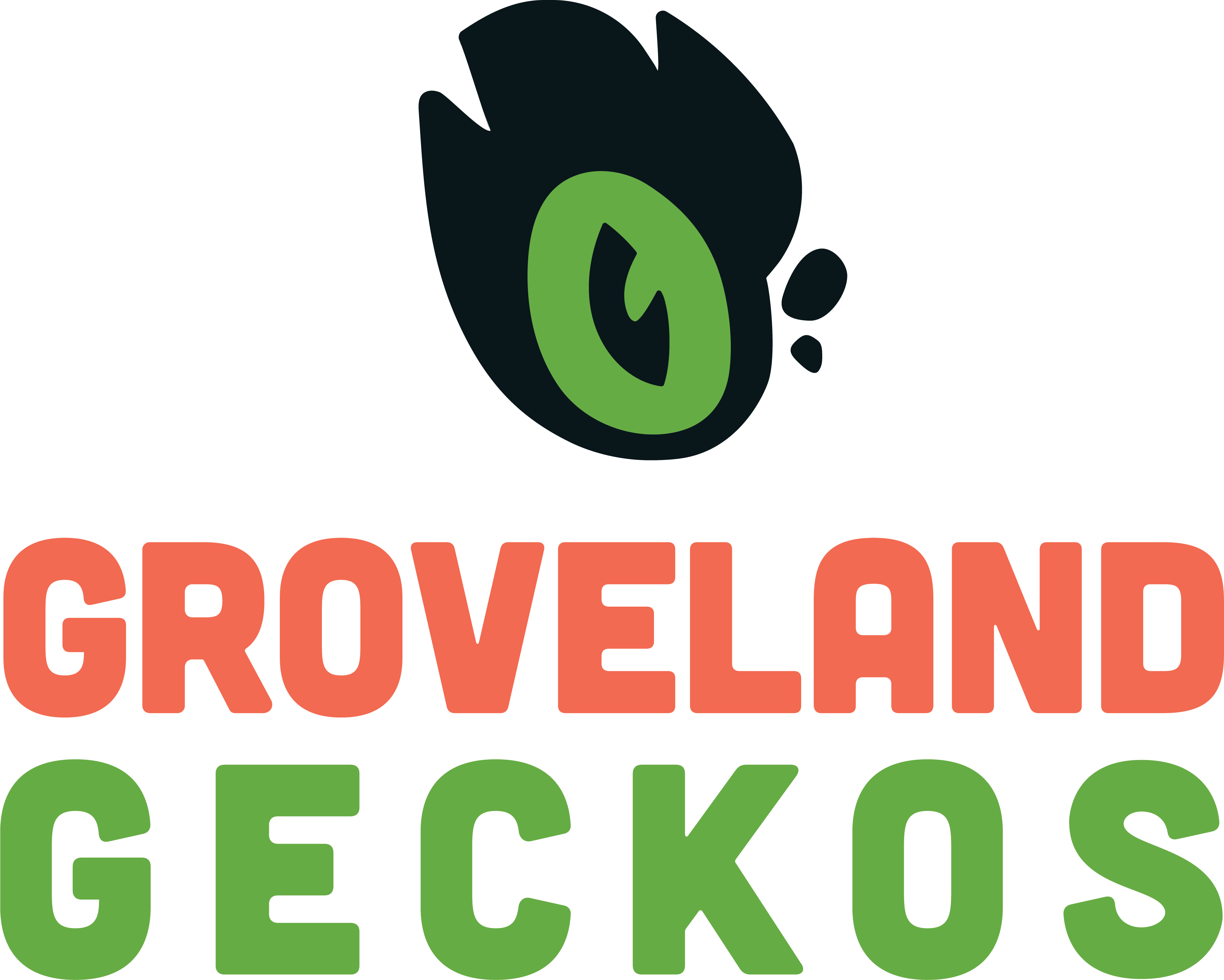 36 inch Pro Snake Hook – Groveland Gecko
