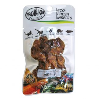 Probugs Silkworm Pupae