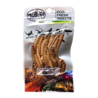 Probugs Superworm