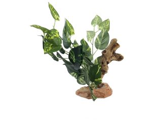 Tropical Plants w/ Driftwood